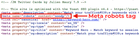 robots meta tag source code